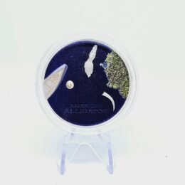 1 oz Silver American Alligator 2022 Smartminting Ultra High Relief Proof Coin – Palau – Coin Invest Trust
