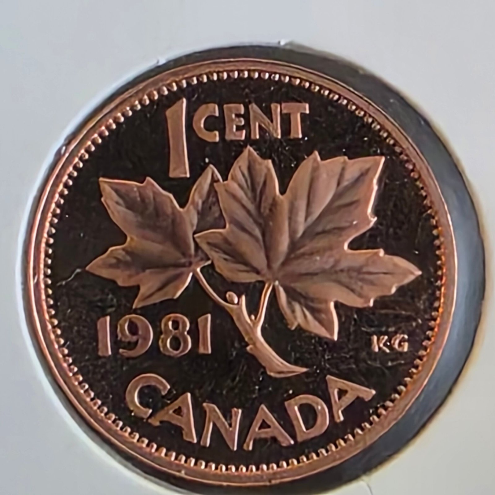 1981 Canada 1-Cent Maple Leaf Penny Proof-Like (PL) Coin - Image 4